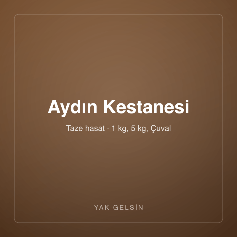Aydın Kestanesi
